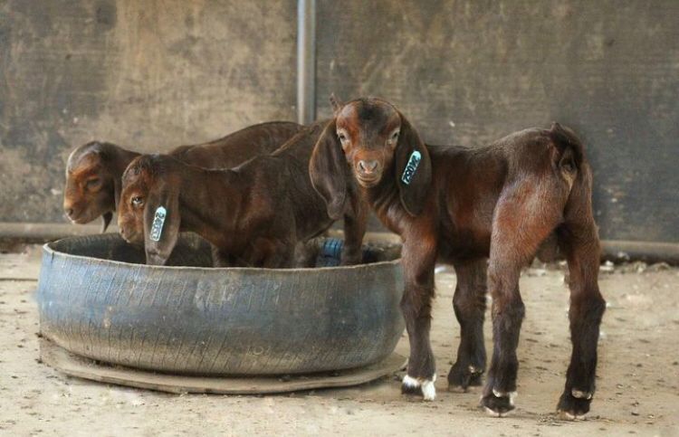 PHOTO-2024-07-15-19-37-18